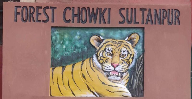 Delhi: Private 3-Days Jaipur & Ranthambore Tiger Safari Tour - Key Points