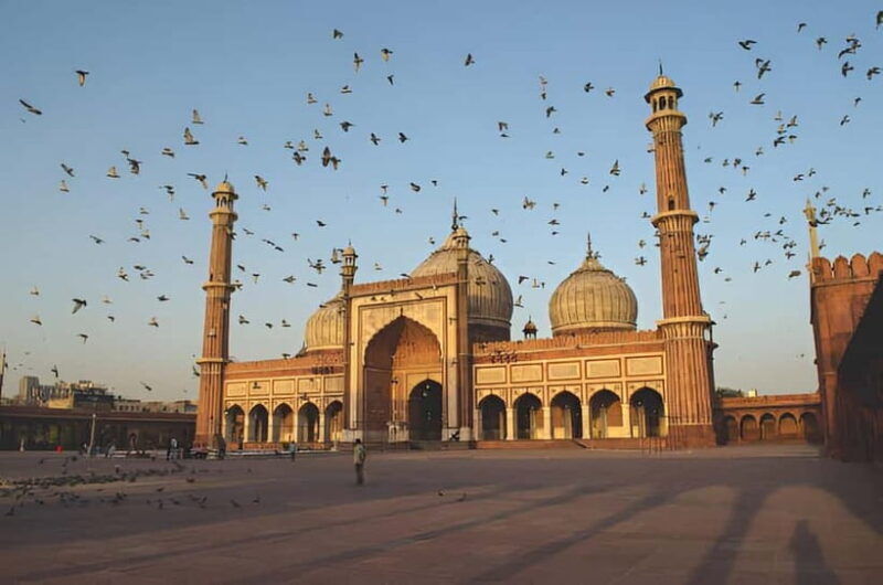 Delhi: Private Full-Day Tour of Old & New Delhi - Value and Who It’s Best For