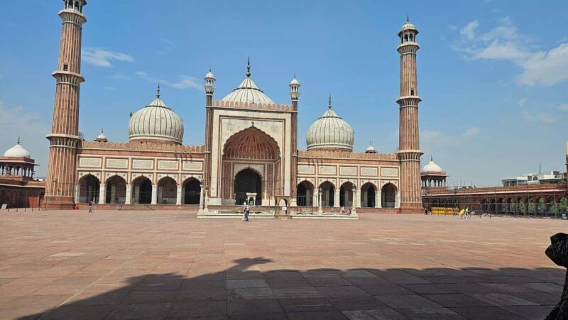 Delhi: Private Old and New Delhi Day Trip with Guide - Who Should Consider This Tour?