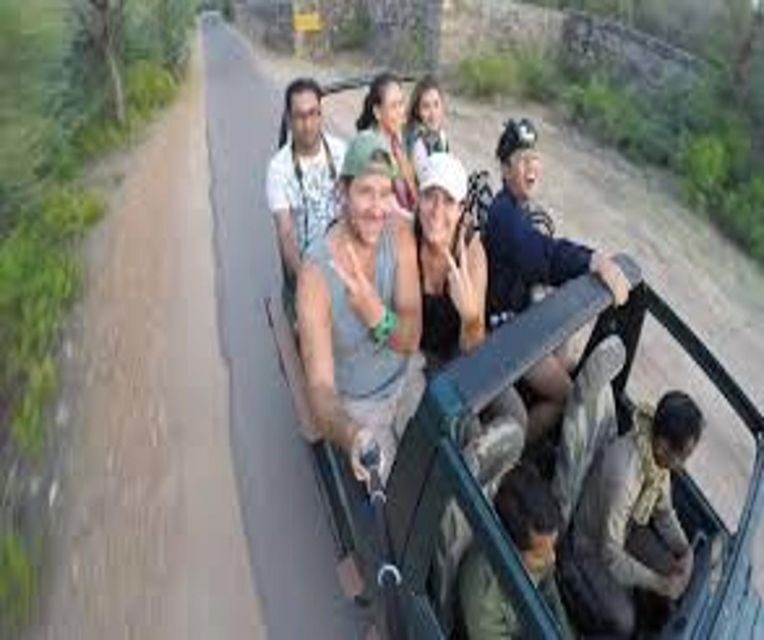 Delhi: Ranthambore National Park 3-Day Trip w/ Tiger Safari - FAQ