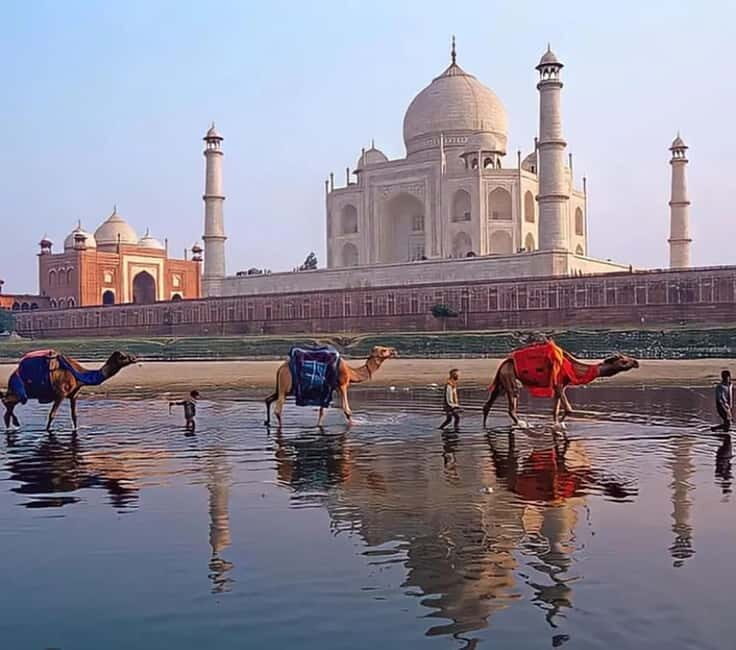 Delhi: Same Day Taj Mahal, Agra Fort & Baby Taj Tour By Car - A Detailed Look at the Experience