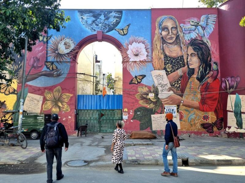 Delhi Street Art Tour: Explore the Murals & Visit a Stepwell - A Closer Look at the Delhi Street Art Tour
