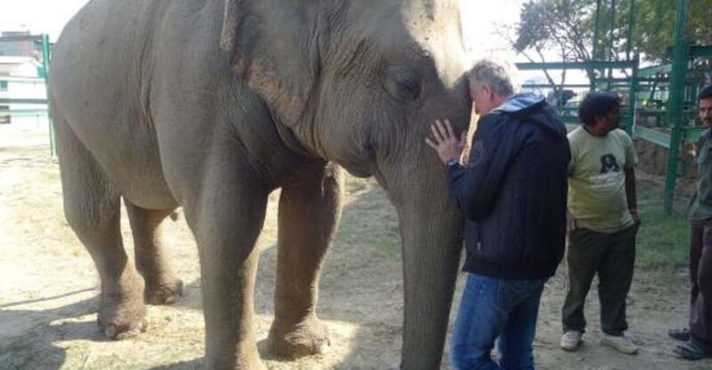 Delhi: Taj Mahal & Wildlife SOS Elephant/Bear Sanctuary Tour - Who Will Love This Tour?