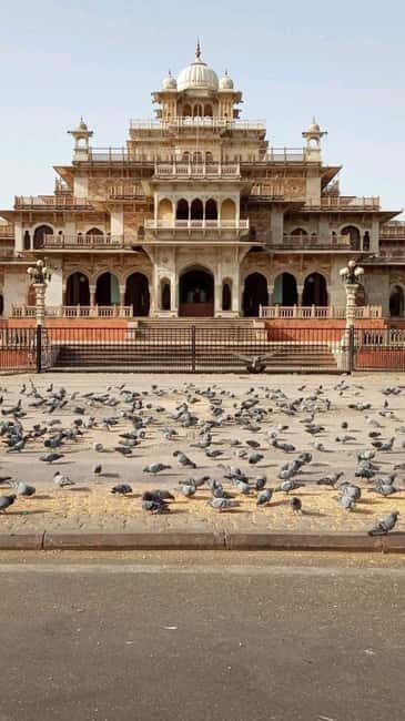 Delhi to Jaipur: Private Full-Day Guided City Highlights - FAQ