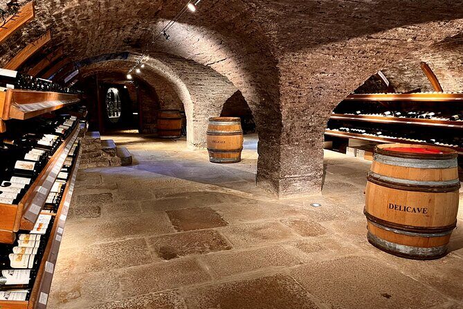 Délicave: Immersive Exhibition & Wine Tasting - Exploring Délicave: An Authentic Blend of Art, Ecology, and Burgundy Wines