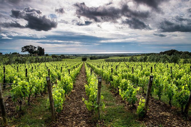 Delightful Tuscany wine experience in charming places - Who Should Consider This Tour?