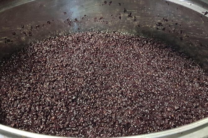 Delightful Tuscany wine experience in charming places - Final Thoughts: Who Will Love This Experience?