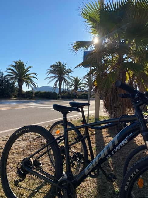 Delivery bike for 6hours Castello/Molentargius/Poetto/Quartu - Experience a Flexible 6-Hour Bike Tour in Sardinia: Castello, Molentargius, Poetto, Quarto