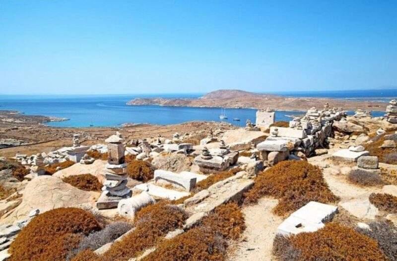 Delos and Mykonos One Day Cruise from Naxos - What’s Included and What’s Not