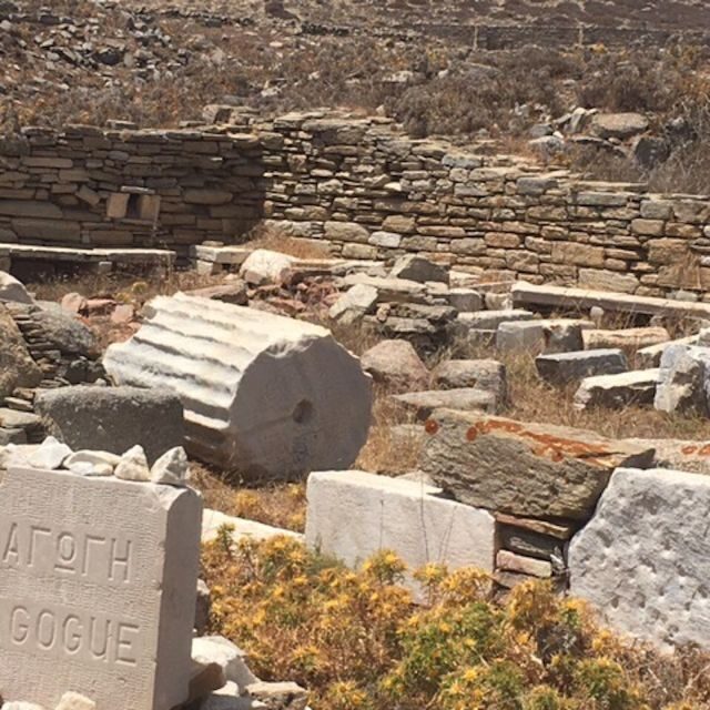 Delos Synagogue: Jewish Heritage Private Tour from Mykonos - Who Should Consider This Tour?