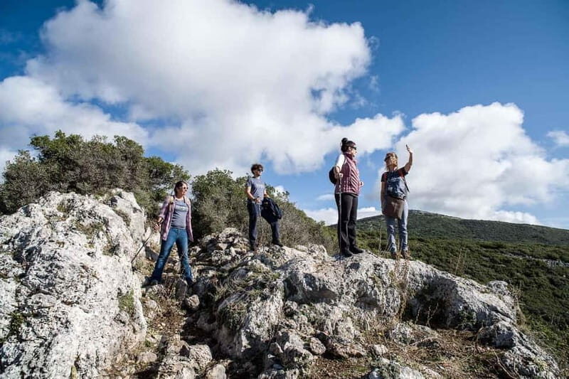 Delphi: Ancient Footpath Guided Hike - The Sum Up