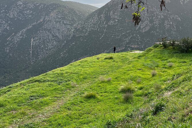 Delphi and Osios Loukas Byzantine Monastery - Why This Tour Offers Great Value
