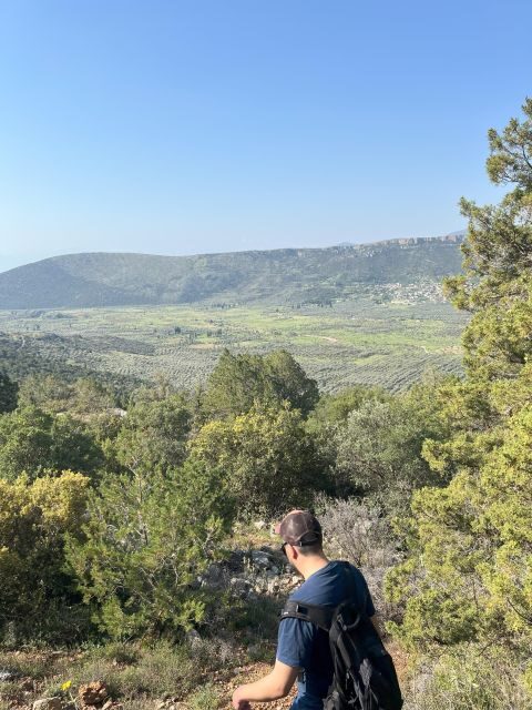 Delphi: Easy Hike from the Monastery to the Mycenaean tomb - A Detailed Look at the Experience