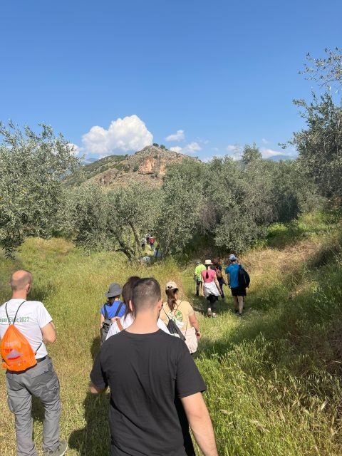Delphi: Easy Hike from the Monastery to the Mycenaean tomb - FAQ