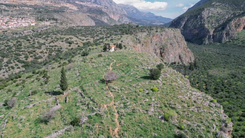 Delphi: Easy Hike on Ancient Path through the Olive Groves - Final Thoughts