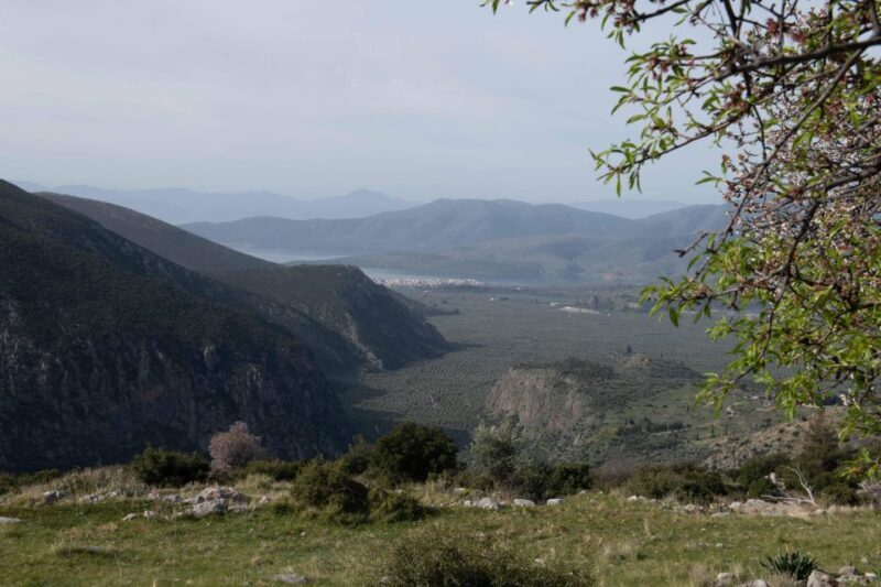 Delphi: Easy Hike on Ancient Path through the Olive Groves - FAQs