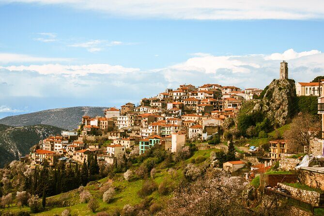 Delphi full day V.R audio guided tour with entry ticket - Who Would Love This Tour?