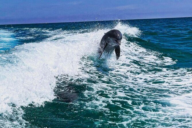 Deluxe 115HP Pontoon Rental - Who Should Consider This Rental?