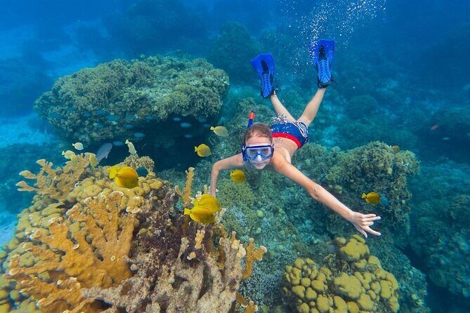 Deluxe Catamaran Tour to Isla Mujeres, Drinks, Snorkeling, Buffet - Frequently Asked Questions