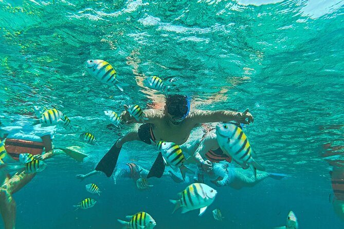 Deluxe Catamaran Tour to Isla Mujeres, from Playa del Carmen - Final Thoughts: Who Should Book This Tour?