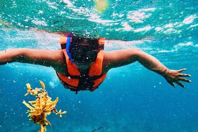 Deluxe Catamaran Trip to Isla Mujeres, from Costa Mujeres Resorts - The Sum Up: who is this tour best for?