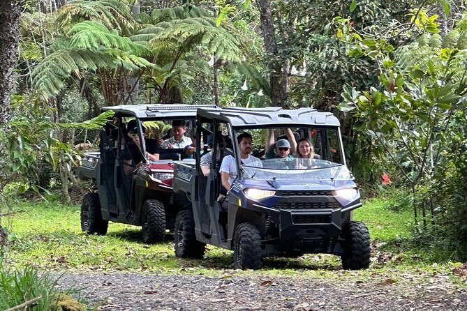 Deluxe Coffee Culture Tour from Berry to Brew in 60 Minutes - A Quick Look at the Deluxe Coffee Culture Tour