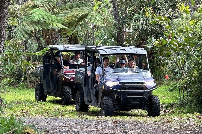 Deluxe Coffee Culture Tour from Berry to Brew in 60 Minutes - Final Thoughts