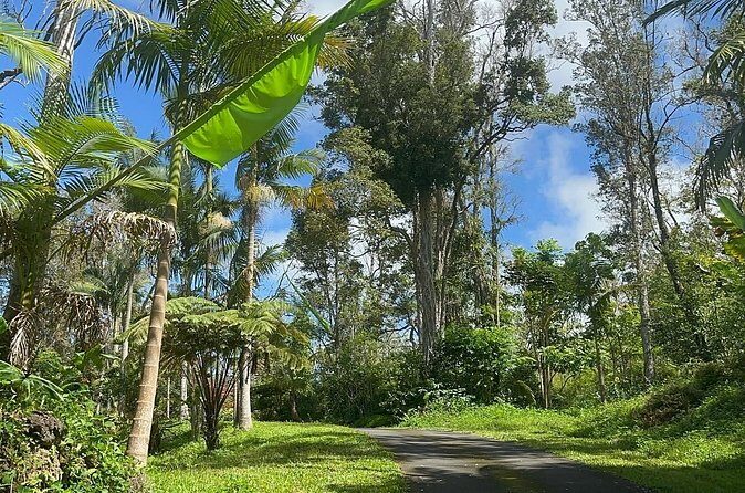 Deluxe Coffee Culture Tour from Berry to Brew in 60 Minutes - Frequently Asked Questions