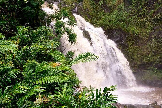 Deluxe Halfway to Hana: Private Tour from Kahului - Frequently Asked Questions