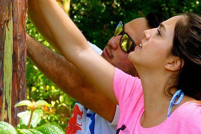 Deluxe Halfway to Hana: Private Tour from Kahului - Final Thoughts