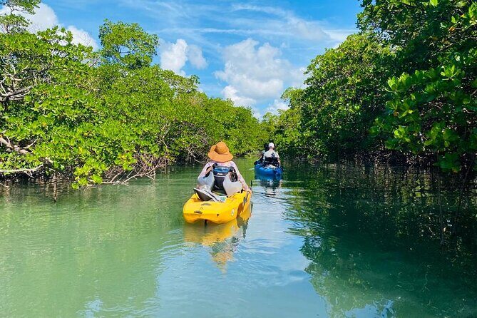 Deluxe Pedal Kayak Tour Marco Island and Naples, Florida - Who Should Consider This Tour?