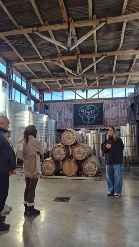 Deluxe Private Tour in Luján de Cuyo : 3 wineries and high quality lunch - The Itinerary: What to Expect on Your Day