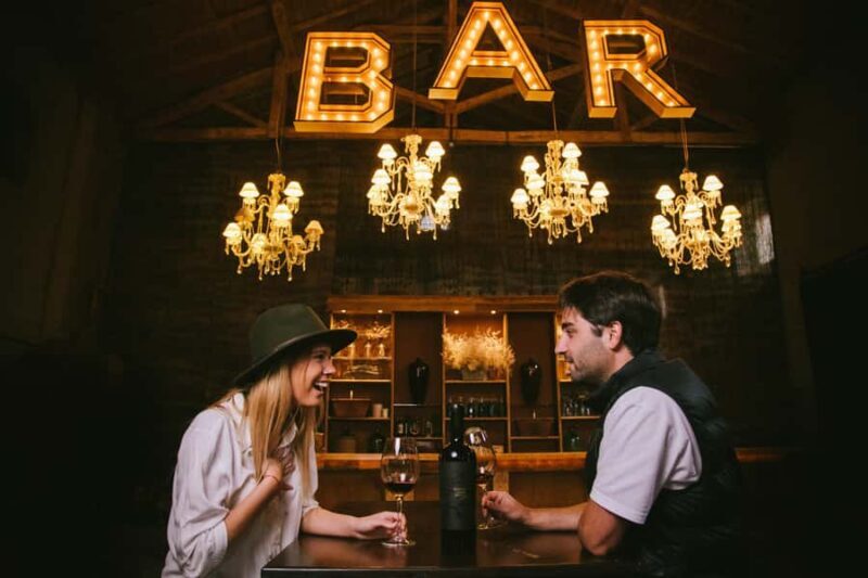 Deluxe Private Tour in Luján de Cuyo : 3 wineries and high quality lunch - The Cost: Is It Worth It?