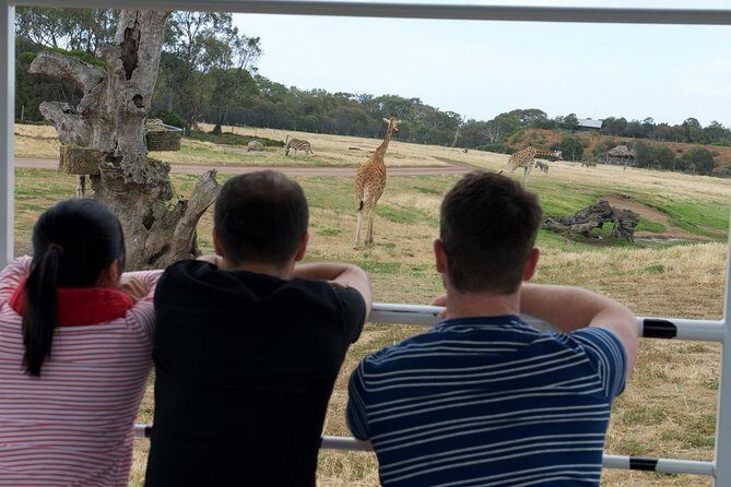 Deluxe Safari Adventure at Werribee Open Range Zoo - excl. entry - FAQ about the Werribee Open Range Zoo Safari