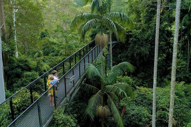 Deluxe Tamborine & Springbrook Day Tour with Skywalk & Glow Worms - Experience the Best of the Queensland Hinterland with the Deluxe Tamborine & Springbrook Day Tour