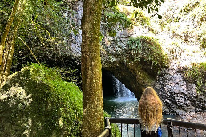 Deluxe Tamborine & Springbrook Day Tour with Skywalk & Glow Worms - Key Points