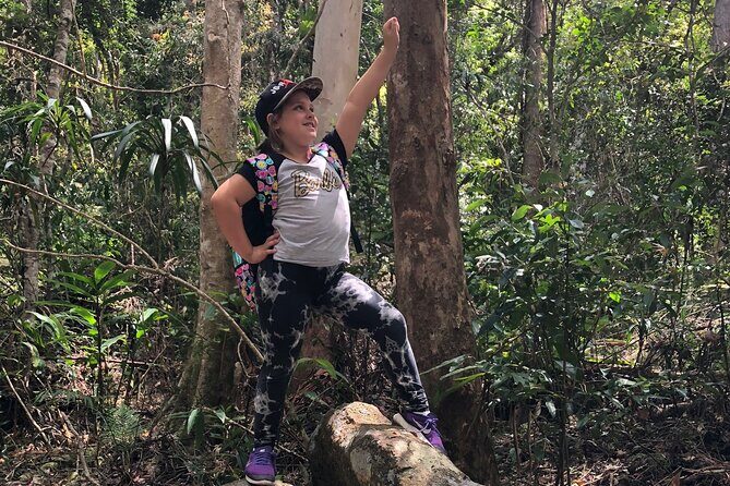 Deluxe Tamborine & Springbrook Day Tour with Skywalk & Glow Worms - Final Thoughts