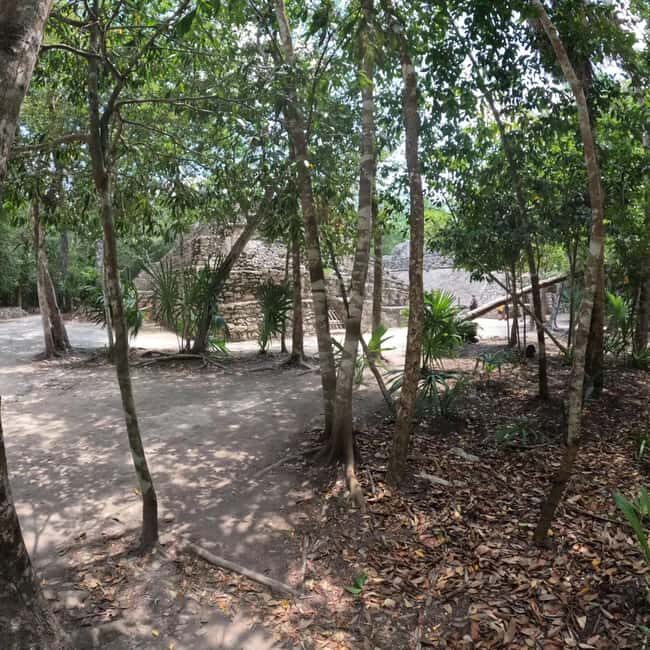 Deluxe Tulum, Coba & 5th Avenue from Cancun - Frequently Asked Questions