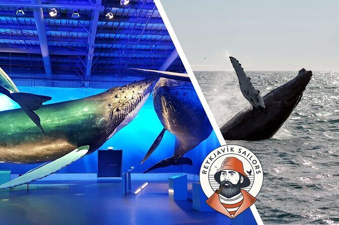 Deluxe Whale Watching and Whales of Iceland Exhibition Combo from Reykjavik - Final Thoughts: Who Will Enjoy This Tour?