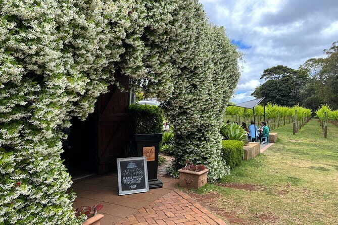 Deluxe Winery Tour to Tamborine Mountain (Mon-Tues) - Experience the Best of Tamborine Mountain with the Deluxe Winery Tour
