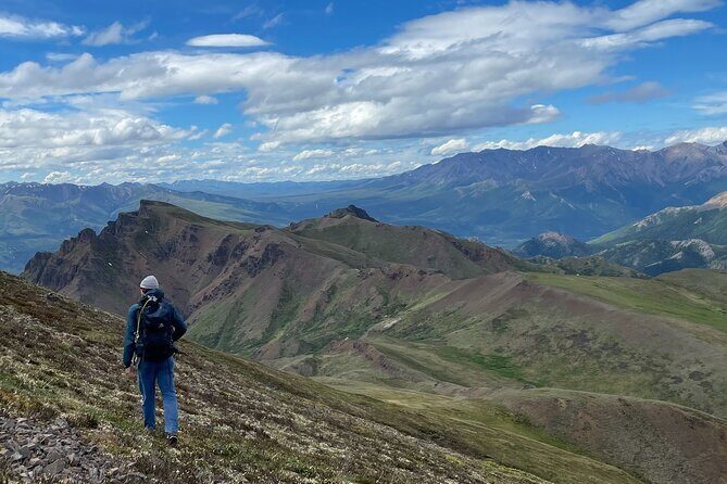 Denali 4 Hour Hiking Adventure with Naturalist Guide - A Deep Dive into the Denali 4-Hour Hiking Adventure