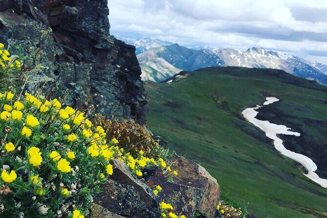 Denali 4 Hour Hiking Adventure with Naturalist Guide - FAQs