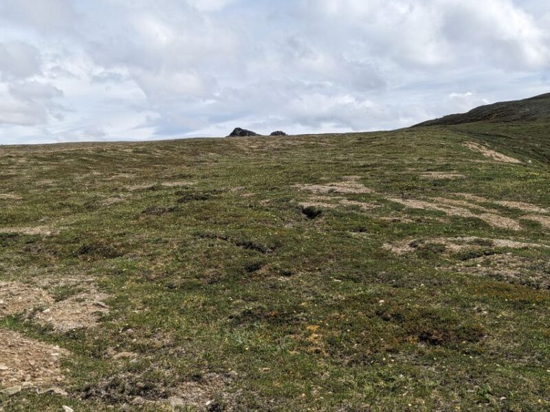 Denali: 5 Hour Guided Into The Mountains Hiking Tour - Exploring Denali: A 5-Hour Guided Into The Mountains Hiking Tour