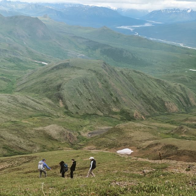 Denali: 5-Hour Guided Wilderness Hiking Tour - Encountering Denali’s Wilderness: A Detailed Look