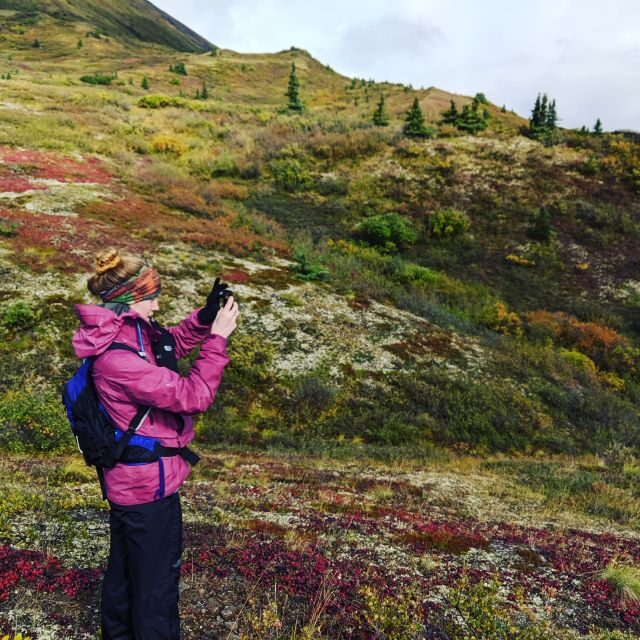 Denali: 5-Hour Guided Wilderness Hiking Tour - Final Thoughts