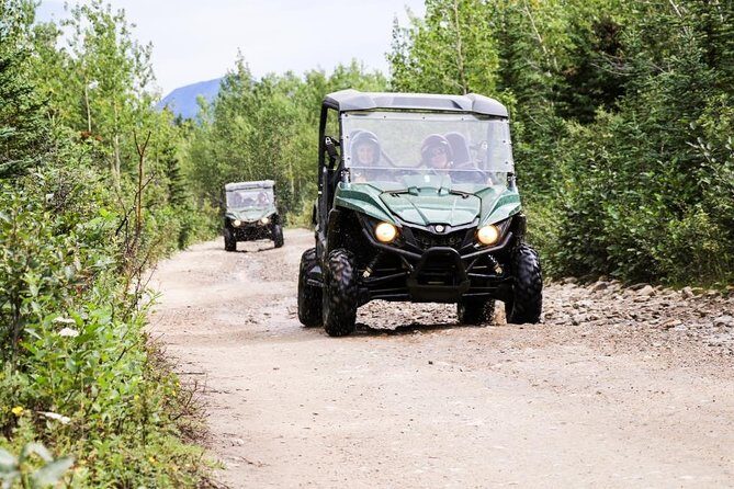 Denali ATV Trailblazer 3.5 Hour Tour - The Experience in Detail