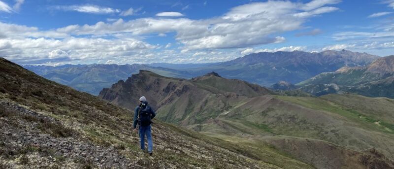 Denali: Denali National Park Walking Tour - Authentic Experiences and Real Reviews