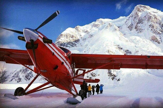 Denali Experience Flightseeing Tour from Talkeetna - Key Points