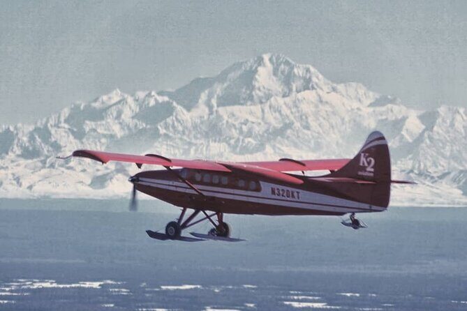 Denali Grand Flightseeing Tour from Talkeetna - The Sum Up: Is It Worth It?
