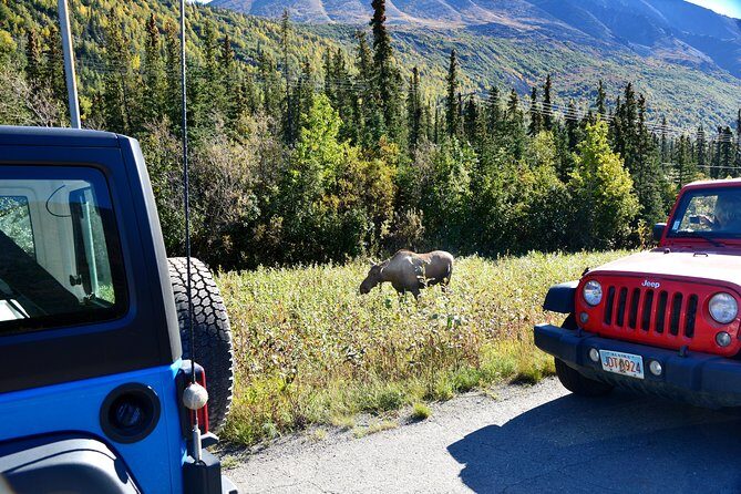 Denali Highway Jeep Excursion - Who Will Love This Tour?